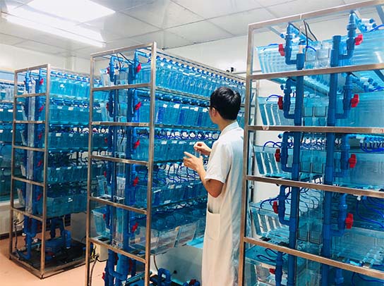 97国际·(中国区)集团官方网站